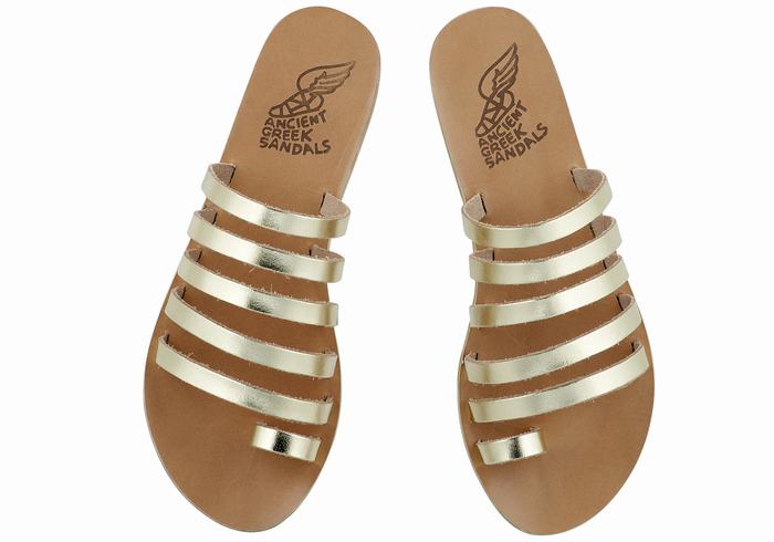 Sandales Toe-Post Ancient Greek Sandals Niki Leather   | FPD-9550395